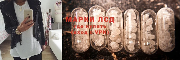 PSILOCYBIN Абаза