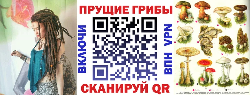 Псилоцибиновые грибы GOLDEN TEACHER  Княгинино 